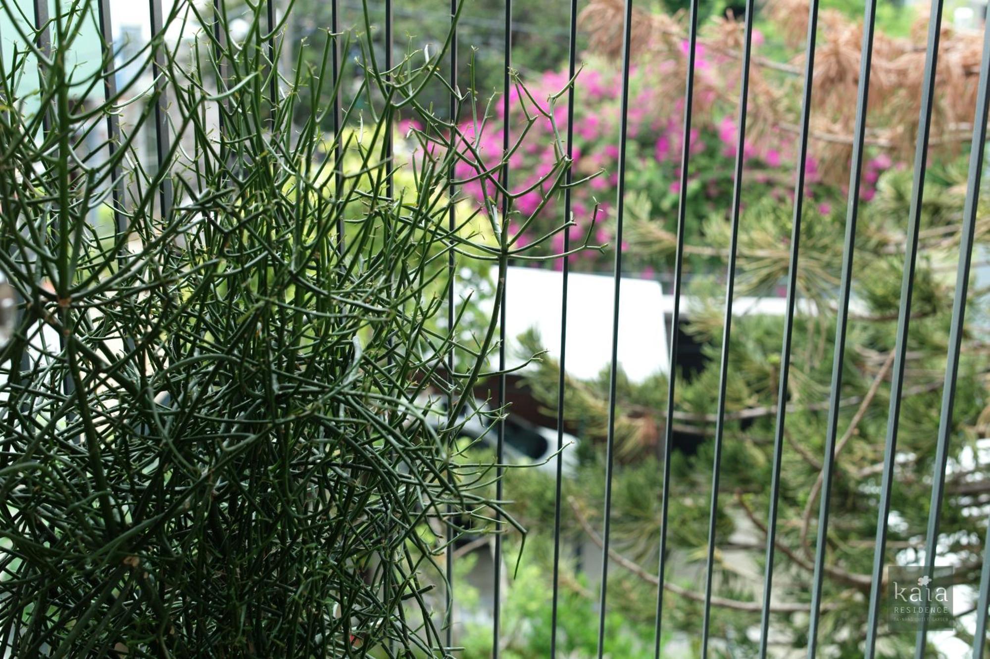 Kaia Residence Danang Quiet Garden Rom bilde