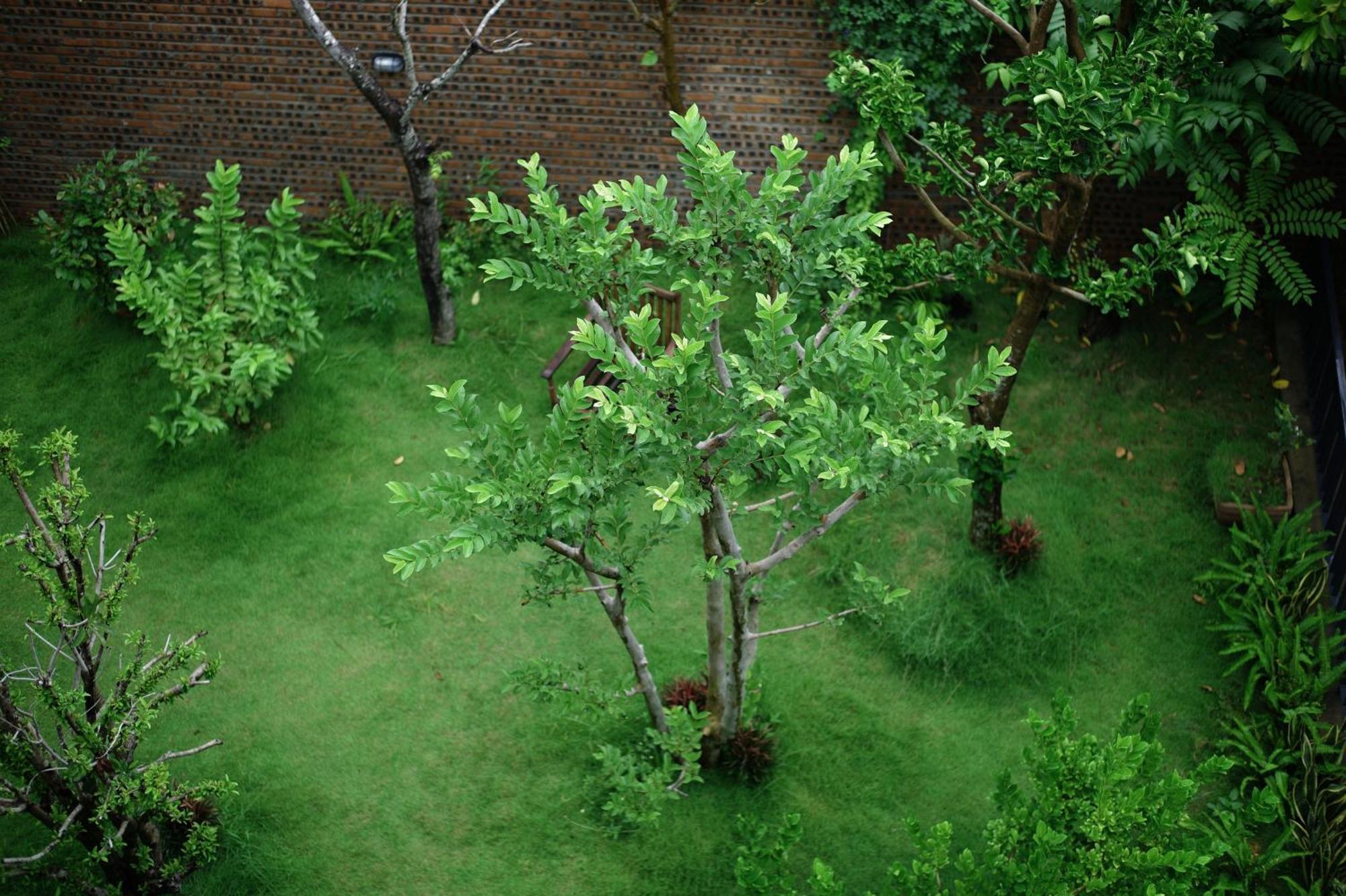 Kaia Residence Danang Quiet Garden Rom bilde