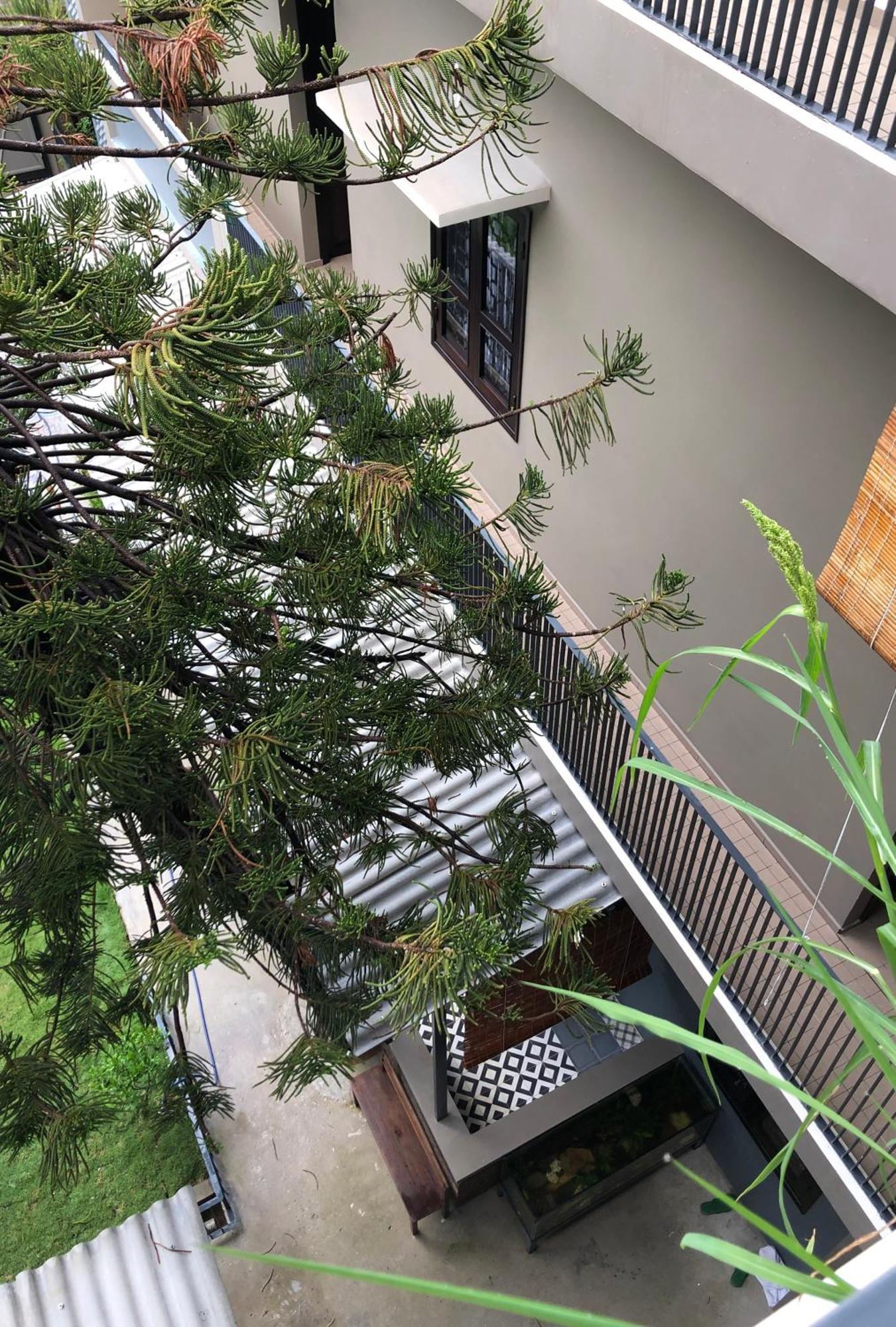 Kaia Residence Danang Quiet Garden Rom bilde